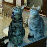 Profile Picture of Peter Marzan (@raphael__195a) on Instagram