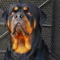 Profile Picture of Efrain Lopez (@efrain-lopez-78) on Quora