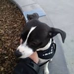 Profile Picture of Kevin Remmel (@kevinremmel) on Instagram