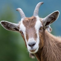 Profile Picture of Brad Vickers (@brad-vickers-7) on Quora