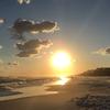 Profile Picture of Brian Herzig23 (@@brianherzig1) on Tiktok
