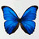 Profile Picture of Motylek Makeda (@motyl) on Flickr