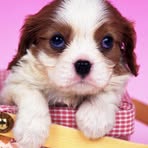 Profile Picture of Armon Hart (@Armon-Hart) on Facebook