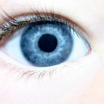 Profile Picture of Trista Meyer (@Trista143) on Twitter