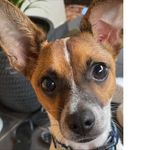 Profile Picture of Darren McFadden (@artbyeye71) on Instagram