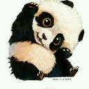 Profile Picture of Paul M Balog (@PaulMBalog1) on Twitter