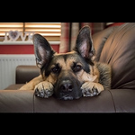 Profile Picture of Kiran Singh (@kiransingh6) on Flickr