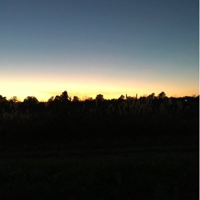 Profile Picture of Gavin Stoner (@gstoner19) on Twitter