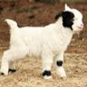 Profile Picture of Emmerson Howard (@eh180133) on Pinterest