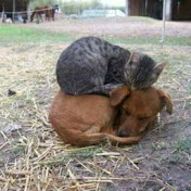 Ian Bowen - Youtube Profile Picture of Ian Bowen (@ianbowen2802) on Youtube