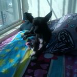 Profile Picture of gemma angelinne aviña cuevas (@gemmaangelinneavina) on Instagram