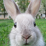 Profile Picture of Sajjad Mahmood1 (@sajjad mahmood1) on Flickr