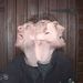 Profile Picture of Zach Hooper (@hooper1135) on Pinterest