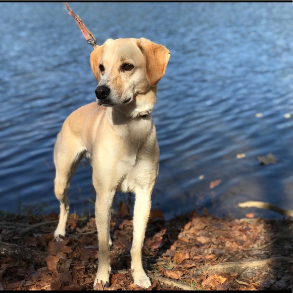 Profile Picture of Melia Oddi (@oddim) on Poshmark