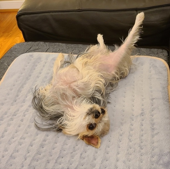 Profile Picture of Taehoon Yi (@guccyiii) on Poshmark