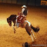 Profile Picture of Darryl Henry (@ruffstockrider) on Instagram