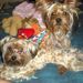 Profile Picture of Kamaile MacLoves (@kamailemacloves) on Pinterest