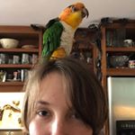 Profile Picture of Kristen Draheim (@kristendraheim) on Instagram