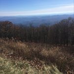 Profile Picture of Andrew Mullis (@andrew_mullis1) on Instagram