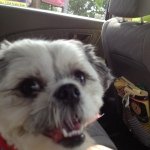 Profile Picture of James Tomaselli (@eads567) on Instagram