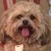 Profile Picture of Roberta Young Garrison (@roberta.garrison) on Facebook