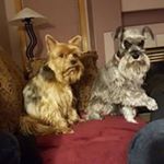 Profile Picture of Paulette Porter (@paulette.porter.370) on Instagram