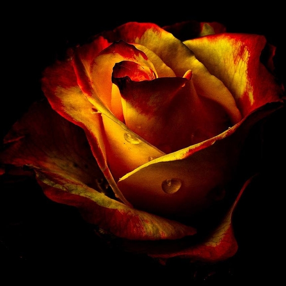 Profile Picture of Iván Espinosa marrero (@espinosad1966) on Poshmark