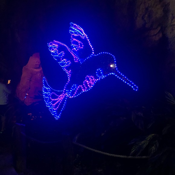 Profile Picture of Alyson Heros (@alu_heros) on Poshmark