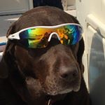 Profile Picture of Jake Schlegel (@_jake_schlegel_) on Instagram