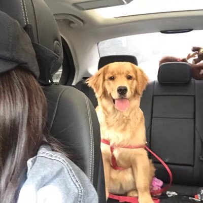 Profile Picture of Jasmine Jiang (@Jasmine43422672) on Twitter