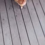 Profile Picture of ivan marrero (@ivansec413) on Instagram