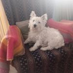 Profile Picture of George Haratsiou (@hararsiou) on Instagram