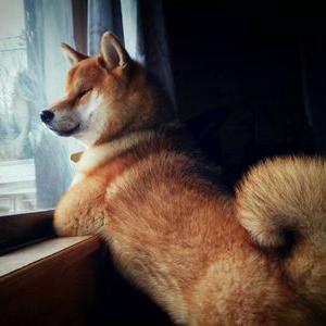 Profile Picture of Goodspeed (@jan26ken) on Twitter