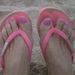 Profile Picture of Barbara Scott Hoopes (@barbhoopes) on Pinterest