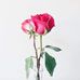 Profile Picture of Md Hossain (@hossain.lukman.14) on Facebook