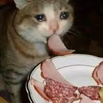 Profile Picture of Michi Corrigan (@michi.corrigan) on Facebook