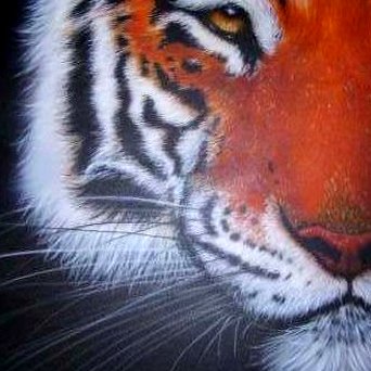 Profile Picture of Tim Towler TowlerArt (@TTolwer) on Twitter