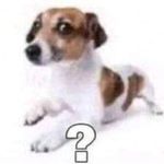 Profile Picture of Preston Hudman (@verificado956) on Instagram