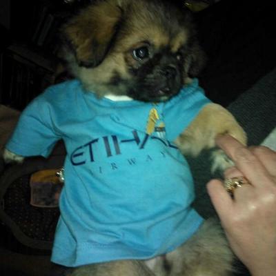 Profile Picture of Jonathan Foss (@jr_arden) on Twitter