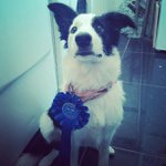 Profile Picture of Pam Owens (@recipepacabove) on Instagram