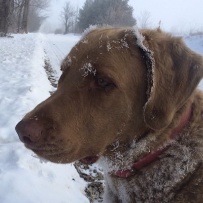 Profile Picture of Eric Stoll (@EricStoll8) on Twitter