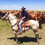 Profile Picture of Aaron Randall (@the_aaron_randall) on Instagram
