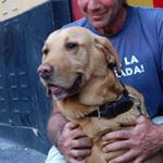 Profile Picture of Goffredo Rogai (@goffredorogai) on Instagram