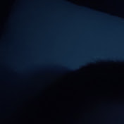 Profile Picture of Danielle Bernal (@daniellebernal8930) on Youtube