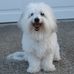 Profile Picture of Baxter Parlett (@baxter.parlett) on Facebook