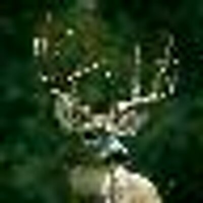 Profile Picture of Kenneth Cahill (@cahillkenneth15) on Twitter