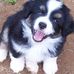 Profile Picture of Joel Cohee (@joel.cohee) on Facebook