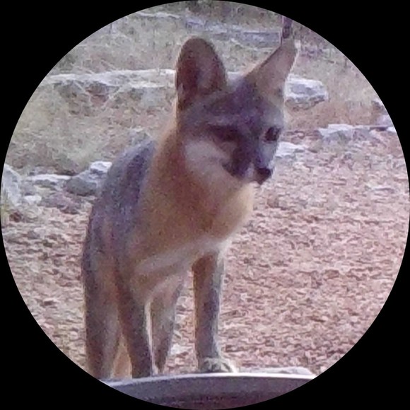 Profile Picture of D Weber (@pipeypipes) on Poshmark