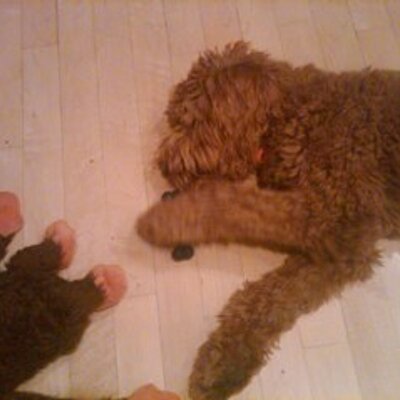 Profile Picture of Mike Froelich (@mikfro) on Twitter