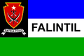 Profile Picture of Timor Leste Defence Forceon Wikipedia